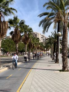 Paseo Maritimo Palma