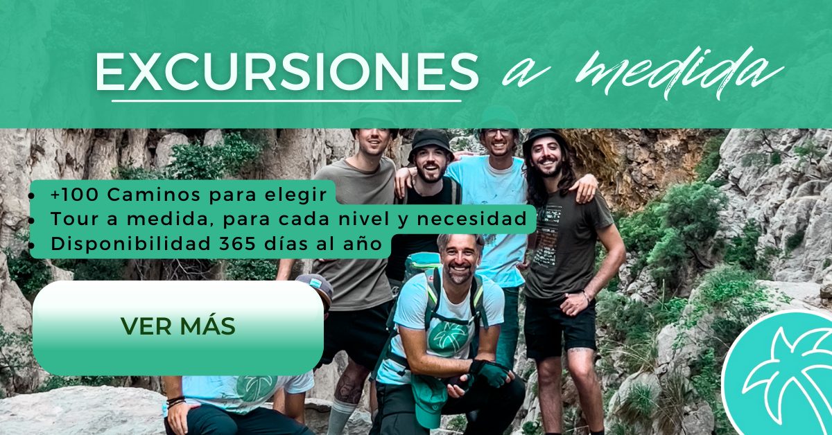 Excursiones a medida banner